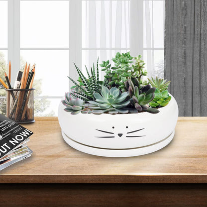 Koolkatkoo 8 Inch Cat Ceramic Succulent Planter Pot with Drainage Hole and Tray Flower Pot for Indoor and Outdoor Plants Round Shallow Planter Gifts for Cat Lovers