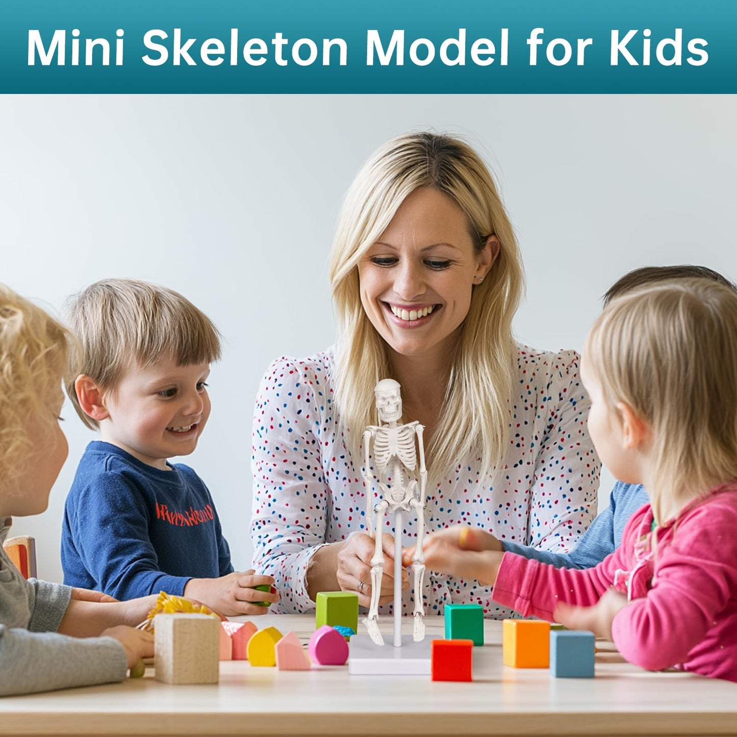 Mini Skeleton Model, 7.8" Small Anatomy Skeleton Figure, Movable Arms and Legs, Human Body Model with Base, Human Bones for Teaching Tool, Decoration