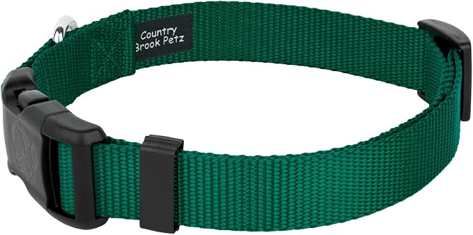 Country Brook Petz - Everyday Nylon Dog Collar and Leash - 10+ Cool Colors (3/8 Inch, Extra Small, Green)
