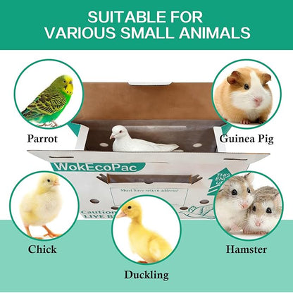 12 Pack Single Live Bird Shipping Boxes, Live Chicken Shipping Boxes, Poultry Shipping Boxes has Ventilation Openings, Cardboard Pet Carrier for Chicken, Bird, Duck, Pigeons, Canaries 17.7x7.8x11.8 in