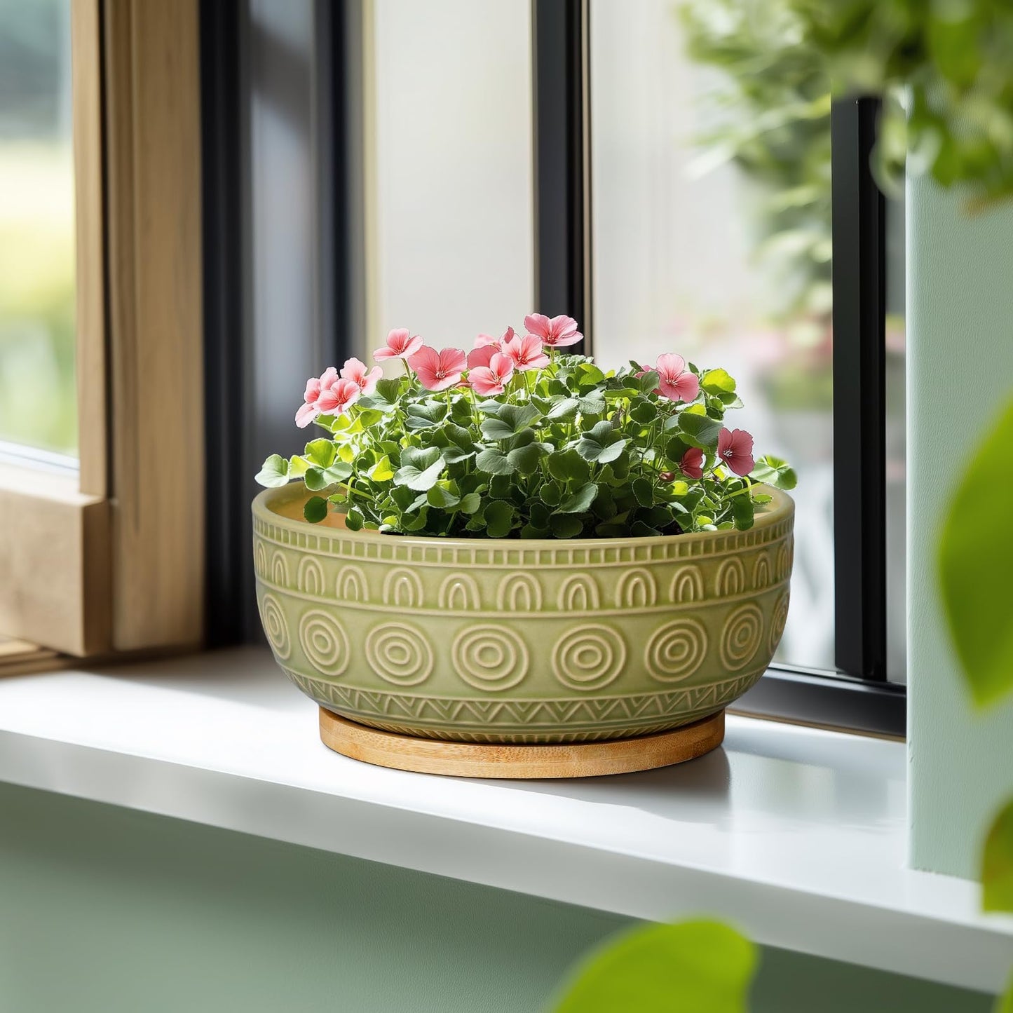 Eightpot Bonsai Pots - 8 Inch Ceramic Succulent Pots with Drainage Hole and Saucer, Shallow Round Planter for Indoor Plants, Boho Bowl Planter, Room Decor, Green
