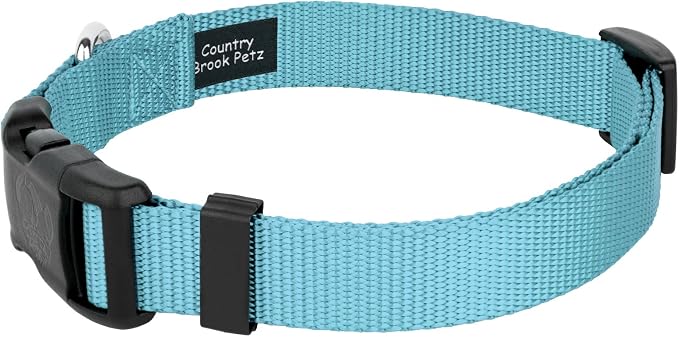 Country Brook Petz - Everyday Nylon Dog Collar and Leash - 10+ Cool Colors (3/4 Inch, Medium, Ocean Blue)