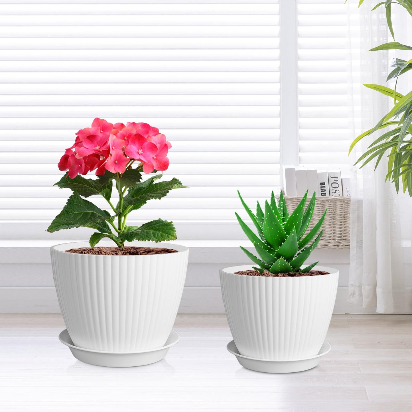 Meowell 7/6.2/5.5/5/4.5/4 inch Plant Pots, 6 Pack Flower Pots for Small Indoor Outdoor Plants, Plastic Planters with Drainage Holes and Saucers for Garden Succulent House Plants, White
