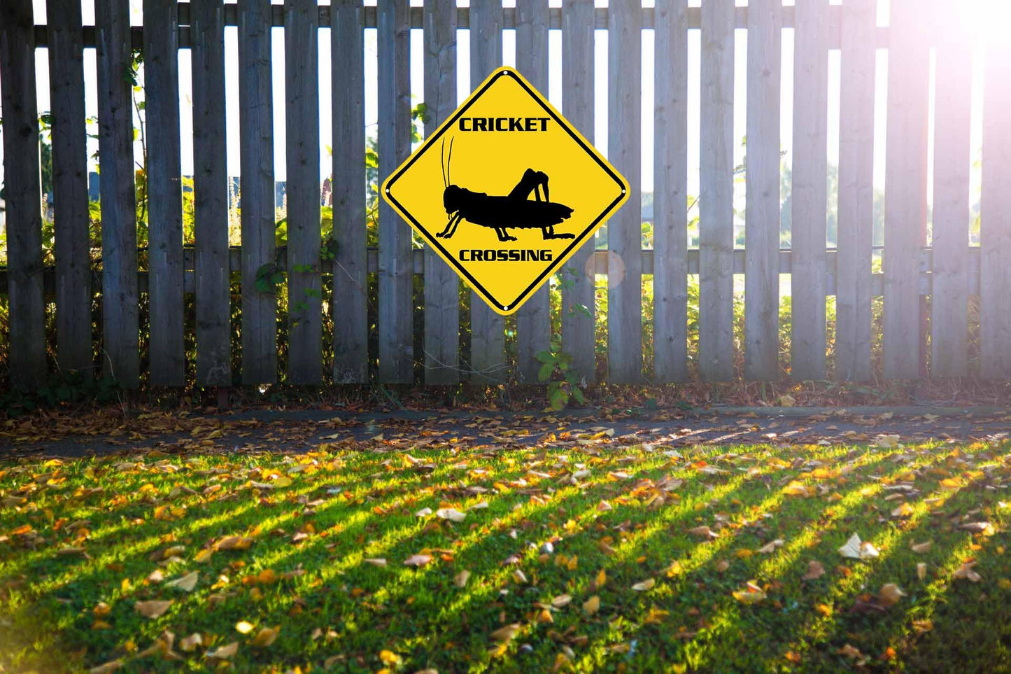 ZMEIZ Cricket Crossing Sign Warning Sign Cricket Animal Caution Yellow Wall Art Decorative Decor For Fence Home Farmhouse Yard Road Quality Metal Sign 12x12 Inches