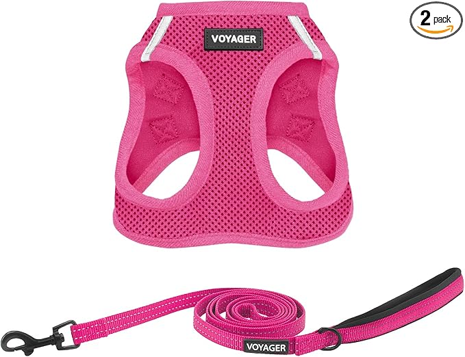 Best Pet Supplies Voyager Step-in Air All Weather Mesh Harness and Reflective Dog 5ft Leash Combo with Neoprene Handle, for Small, Medium and Large Breed Puppies - Fuchsia, Small