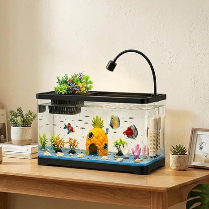 5 Gallon Fish Tank Aquarium Starter Kit with Filter and Light, All in One Small Fish Tank for Betta, Kids & Desktop Use, Self Cleaning Nano Aquarium with Lid(Large Black)