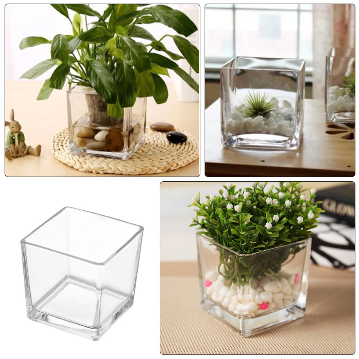 SECFOU 4.5 Inch Cube Glass Vase for Succulent Plants and Greenery, Small Terrarium Planter Pot for Hydroponic Use, Decorative Tabletop Flower Container for Home and Office