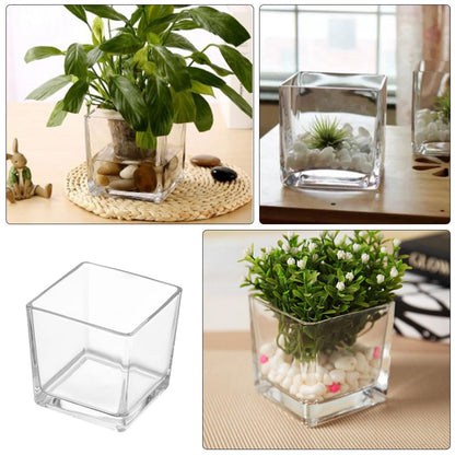 SECFOU 4.5 Inch Cube Glass Vase for Succulent Plants and Greenery, Small Terrarium Planter Pot for Hydroponic Use, Decorative Tabletop Flower Container for Home and Office