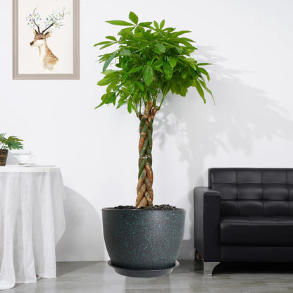 UOUZ 12/10/9 Large Modern Plant Pots, Plastic Planters with Drainage Holes and Saucers for Indoor Outdoor Plants Flowers, Black with Green Speckles