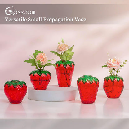 Glass Strawberry Propagation Vase Decor: Glasseam Cute mini vases Propagation Stations for Home - Unique 5Pcs Flower vase Set Terrarium Jar Gifts for Women Friends Mom Birthday Housewarming Holidays