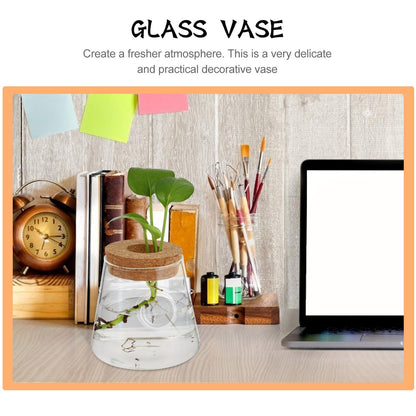 Homoyoyo 2pcs Glass Hydroponic Plants Vase Small Terrarium Flower Pots Desktop Water Planting Decoration for Home and Office