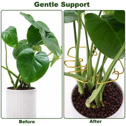 6PCS Monstera Plant Stem Support , Monstera Stabilizer Grapple Holder Unique Design for Turtle Shell Bamboo Clamp Set, Ideal Plant Support Stakes for Thriving Growth Indoor Climbing Plant (Gold)