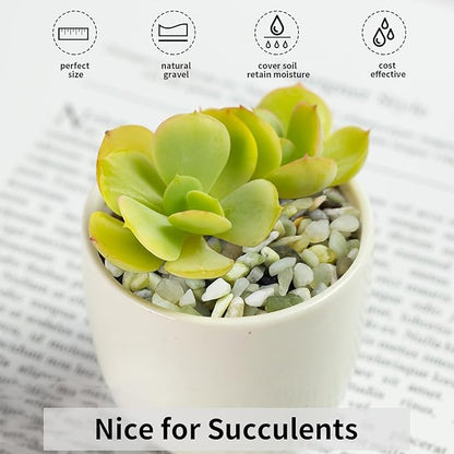 FANTIAN 10 lbs Jade Gravel Small Pebbles for Plants, 3/8 Inch Decorative Rocks for Plants Succulents Bamboo Vases Landscaping and Potted Drainage Rocks
