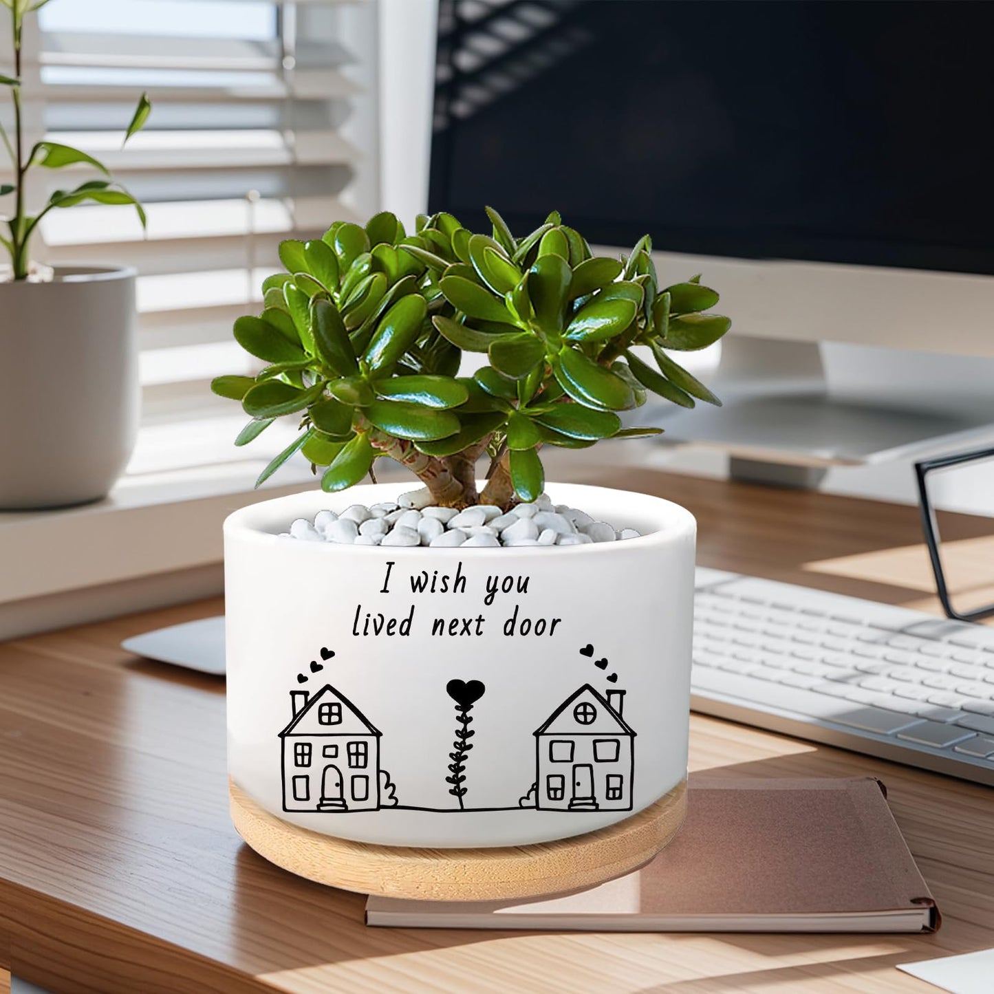 WSLCHOVE Friend Gifts for Women, I Wish You Lived Next Door, Cute Succulent Plant Pot, Flower Planter, Friendship Long Distance Relationship Gifts for Women Best Friend (Plants Not Included)