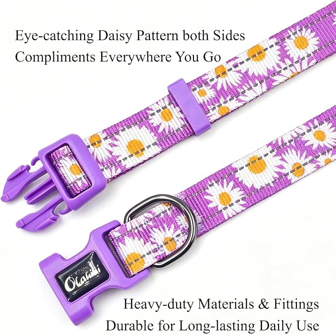 Dog Collar Leash Set, Floral Pattern, with Safety Reflective Strips, 5 ft Matching Leash, Neoprene Padded Handle, Adjustable 4 Sizes for Small Medium Large Dogs.(L, Purple Daisy)