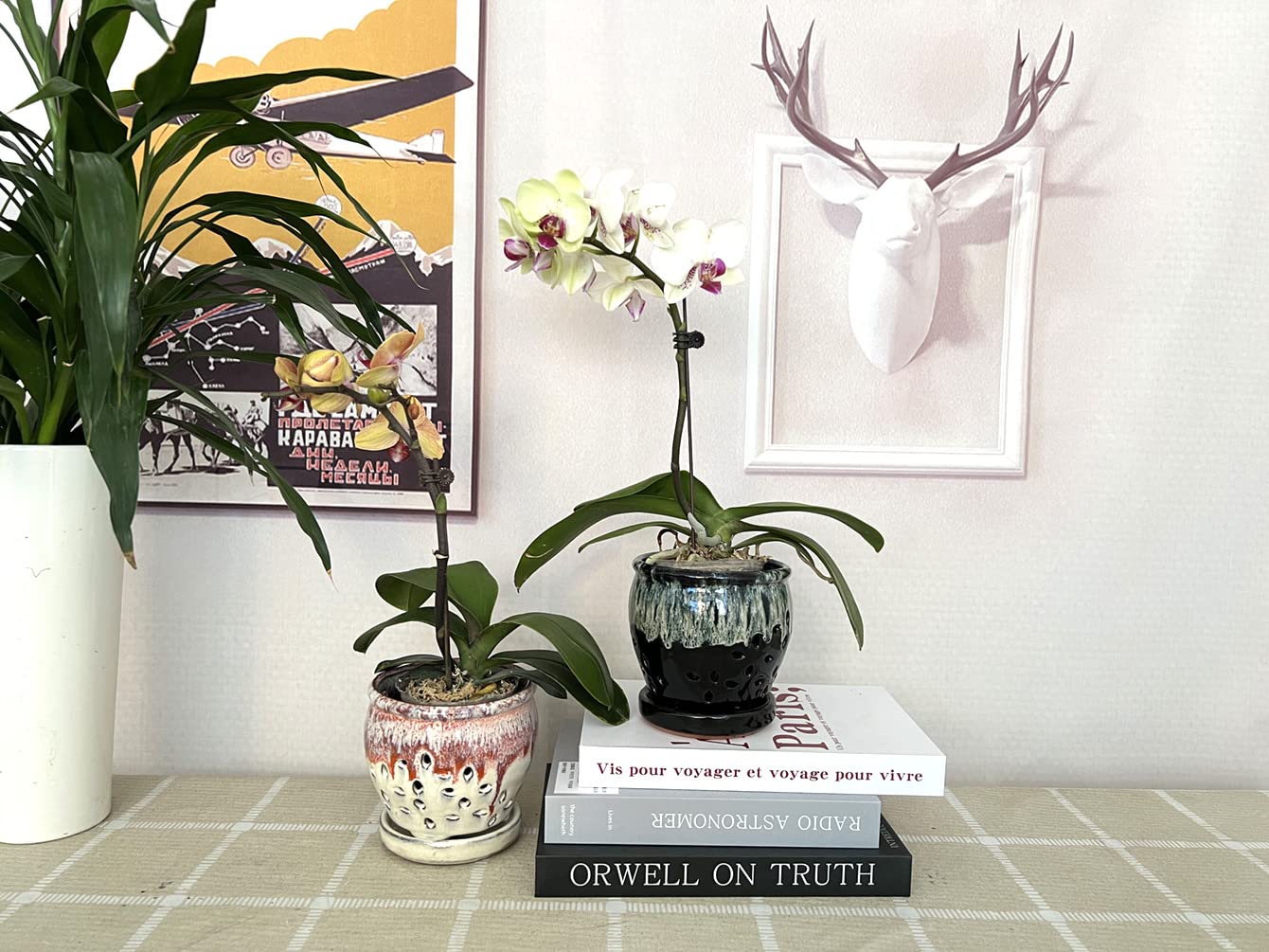Beitewei 2PCS Small Ceramic Orchid Planter Pots with Holes 4.33inch Ceramic Planters for Orchid Repotting(Black&White)