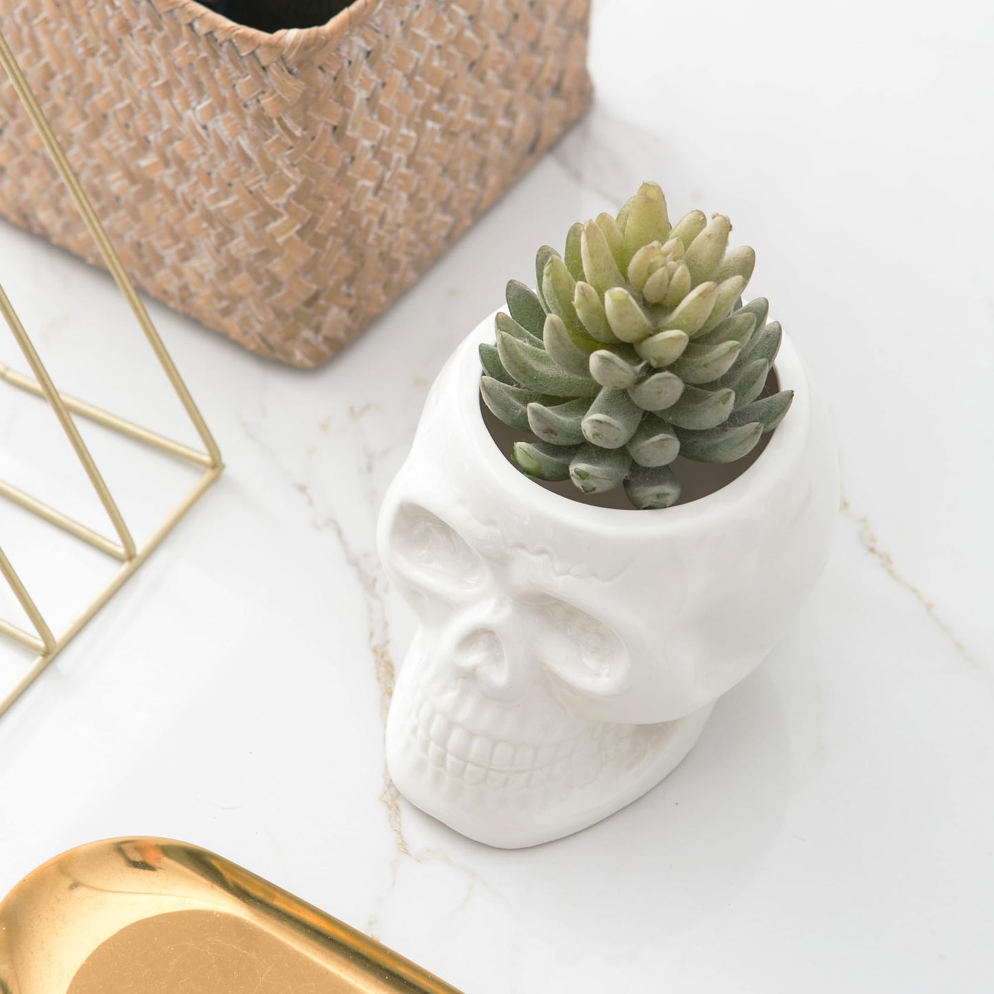 Tanvecle Skull Planter Pots, Skeleton Vase for Succulent, Flowers, Gothic Centerpiece for Table, Punk Home Decor and Accessories, Halloween and Day of The Dead Decorations - White