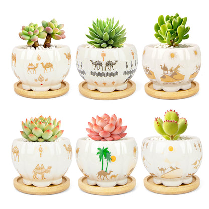 Succulent Pots - 3.1 Inch Small Plant Pots with Drainage Tray, Ceramic Flower Pots for Indoor Plants, 6 Pack Succulent Planters for Cactus Plants, Home Office Decor