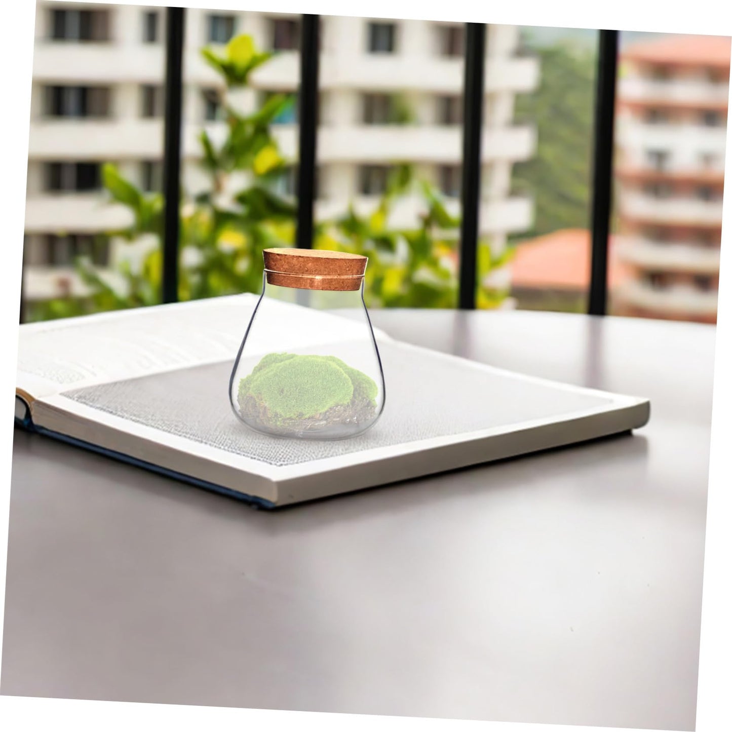 HOMSFOU Plant Propagation Station Terrarium Glass Planter Vase with Cork Clear Plant Holder Flower Jars Hydroponics Air Planter Holder Candy Jar for Home Office