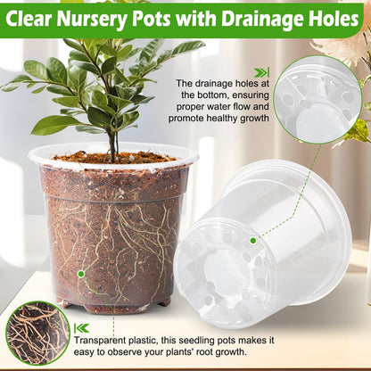 RooTrimmer 6 Inch Clear Nursery Pots with Humidity Dome, 15 Pack Durable Seed Starting Pot with Drainage Holes, Transparent Plastic Plant Seedling Pots for Indoor Gardening Plants