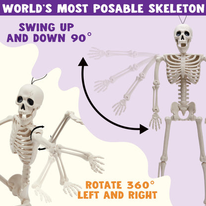 JOYIN 6 PCS 16" Halloween Skeleton Decor, Full Body Posable Movable Joints, Hanging Skeletons for Halloween Decoration Indoor Outdoor, Graveyard Haunted House Prop, Spooky Scene Party Favor