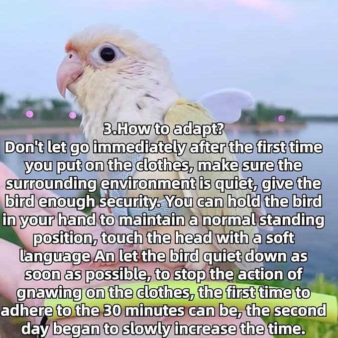 Pet Parrot Bird Harness and Leash, Adjustable Training Design Anti-Bite, Bird Nylon Rope with Cute Wing for Lovebird Budgie African Grey Macaw Conure (Red,XL)