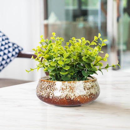 ARTKETTY Succulent Pots - 8 Inch Plant Pot, Large Bonsai Pots with Drainage, Ceramic Planters for Indoor Outdoor Plants, Round Shallow Cactus Flower Plant Container Bowl Decorative Home Garden