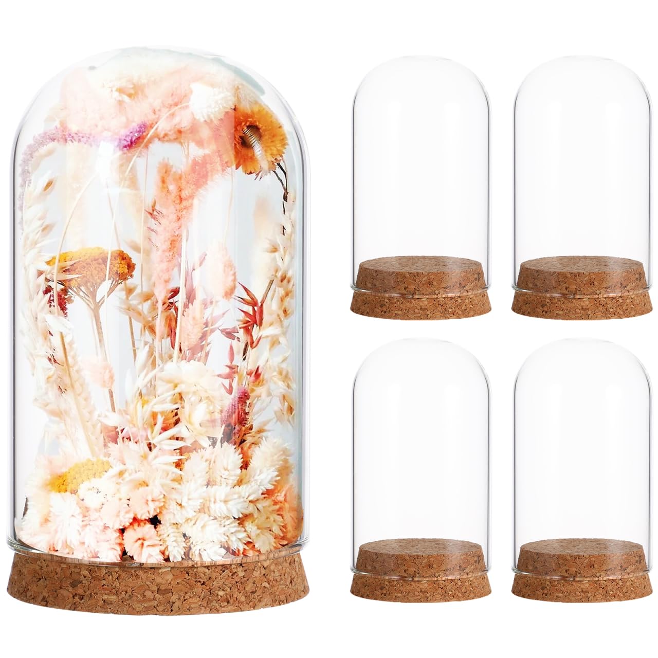 5pcs Cloche Glass Dome Wedding Favor Glass Dome Jars Bottles with Cork Stoppers Display with Cork Base for Party Favors, Arts and Small Projects