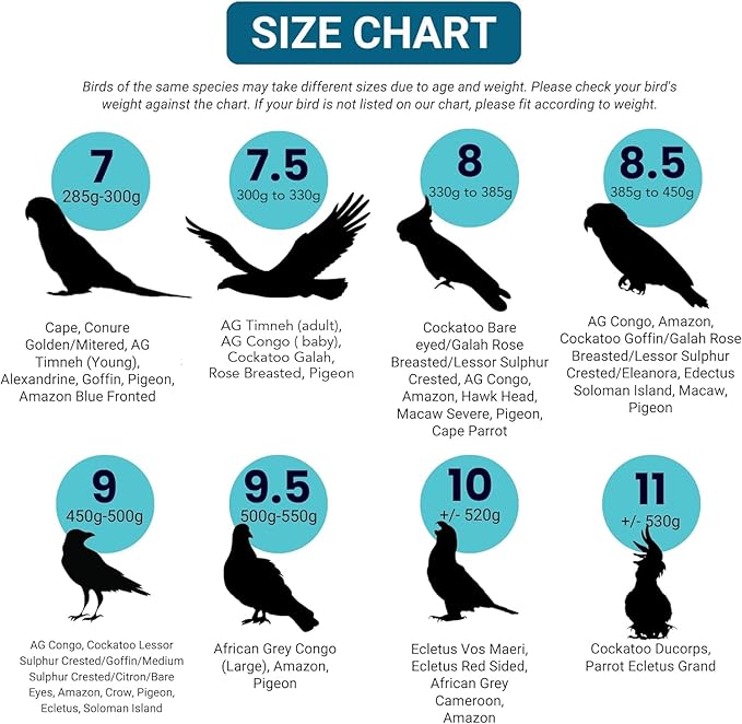 FLYPER Adjustable Mini Bird Diaper | Reusable, Washable Cloth | Comfort Fit for Parrots, Cockatiels, and Other Small Birds | Fashionable Avian Accessories Size 9.5