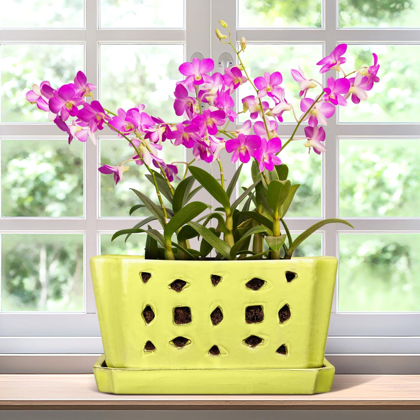 Teenyyou 1 Set Orchid Pot with Holes 9.5 Inch Ceramic Orchid Pot with Saucers for Repotting Amaryllis Flower Planter Include Gardening Shovel Set and Gloves for Home Decor(Yellow)