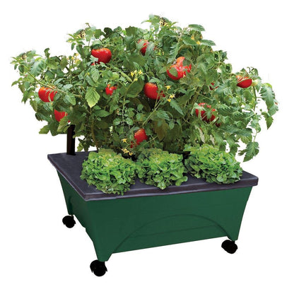 Emsco Group 2341-1HD City Picker Raised Bed Self Watering and Improved Aeration – Mobile Unit with Casters-Hunter Green Grow Box and Seed Starter