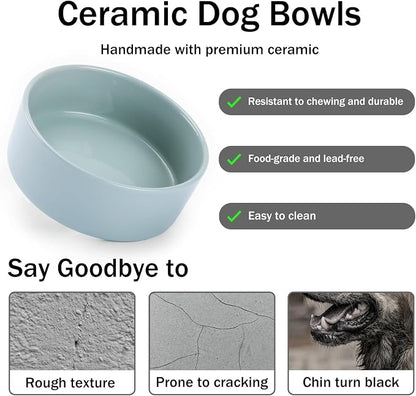 MateeyLife Ceramic Dog and Cat Bowls with Stand, 2-Pack Food and Water Bowl Set - Non-Slip Pet Bowls for Cats,Puppies and Small Dogs, 13.5OZ（Green）