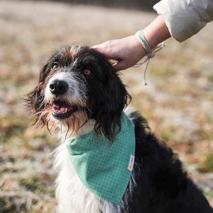 Pettsie Hemp Dog Bandana Collar & Matching Owner Friendship Bracelet | Adjustable, Durable Hemp & Soft Cotton, Matching Friendship Bracelet, Designed for Dog Lovers