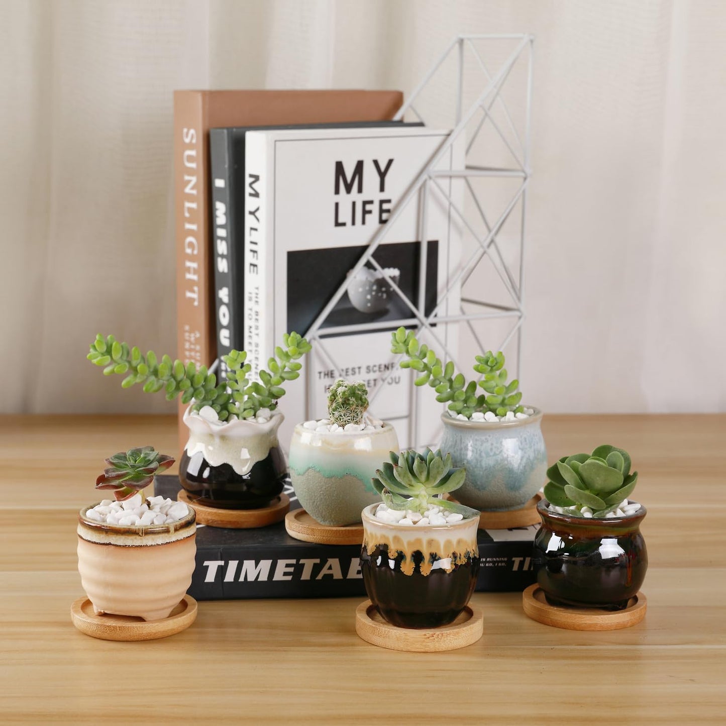 T4U Small Ceramic Succulent Pots with Drainage - Set of 12, Mini Pots for Plants, Home and Office Decor, Plant Lover Gifts for Women