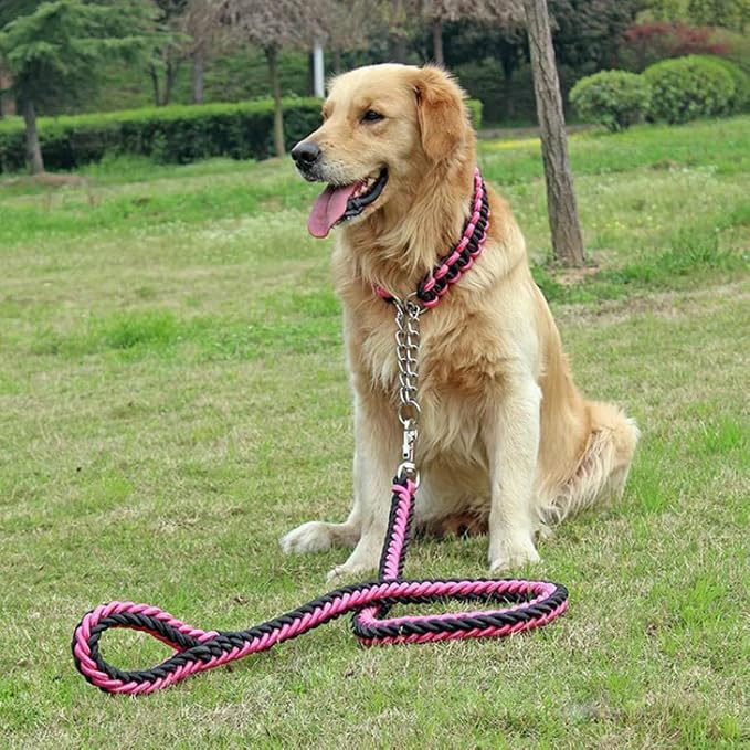 Love Dream Dog Collar and Leash Set, Heavy Duty Nylon Braided Rope Strong 4 FT Dog Leash and Martingale Training Collar for Small Medium Large Dogs Training and Walking (Red & Pink)
