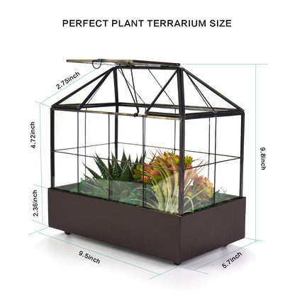 YIMORENCE V Large Tall Plant Terrarium Glass Greenhouse with Lid and Tray, Indoor Tabletop Orchid Succulent Cacti Kit 9.5'X9.8'X5.6'