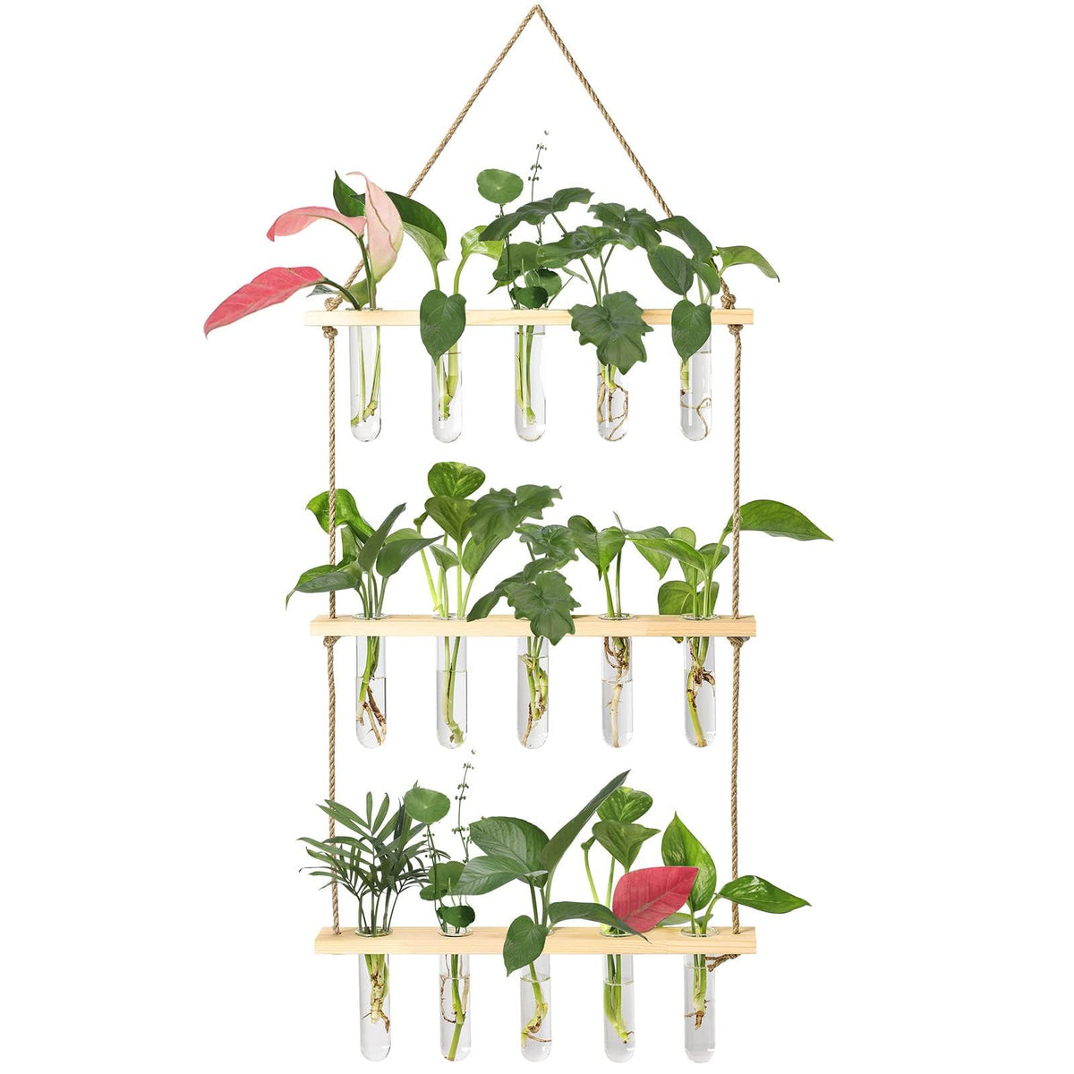XXXFLOWER Watering Can+Wall Hanging Propagation Station