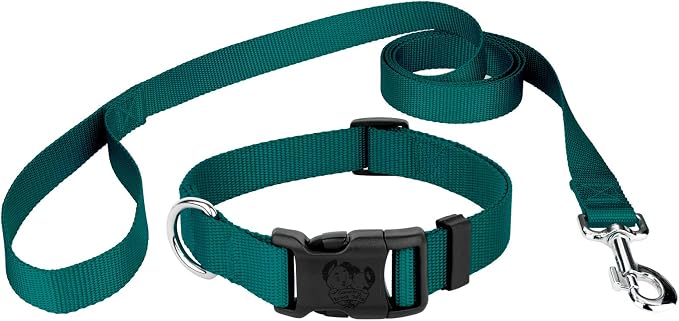 Country Brook Petz - Everyday Nylon Dog Collar and Leash - 10+ Cool Colors (1 Inch, Extra Large, Teal)