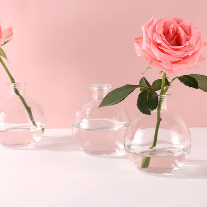 Magic Season Decorative Glass Bottles with Cork Stoppers - 260 ml Potion Bottles (6 Pcs)