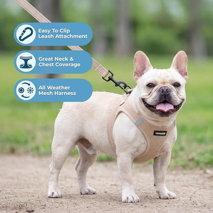 Best Pet Supplies Voyager Step-in Air All Weather Mesh Harness and Reflective Dog 5ft Leash Combo with Neoprene Handle, for Small, Medium and Large Breed Puppies - Khaki, L