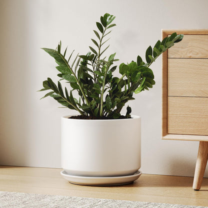 LE TAUCI Ceramic Pots for Plants, 10 Inch Plant Pot with Drainage Hole & Saucer, Sturdy & Modern Planters for Indoor Plants, Includes Mesh Screen, Fits Snake Plant & Monstera, White