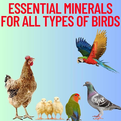 Limestone Grit Minerals, High Calcium Supplement, Designed to Promote Strong Bones, Better Digestion, and Overall Well-Being for Pigeons, Small Cage Birds, Duck and Chickens 3 Pounds Bag