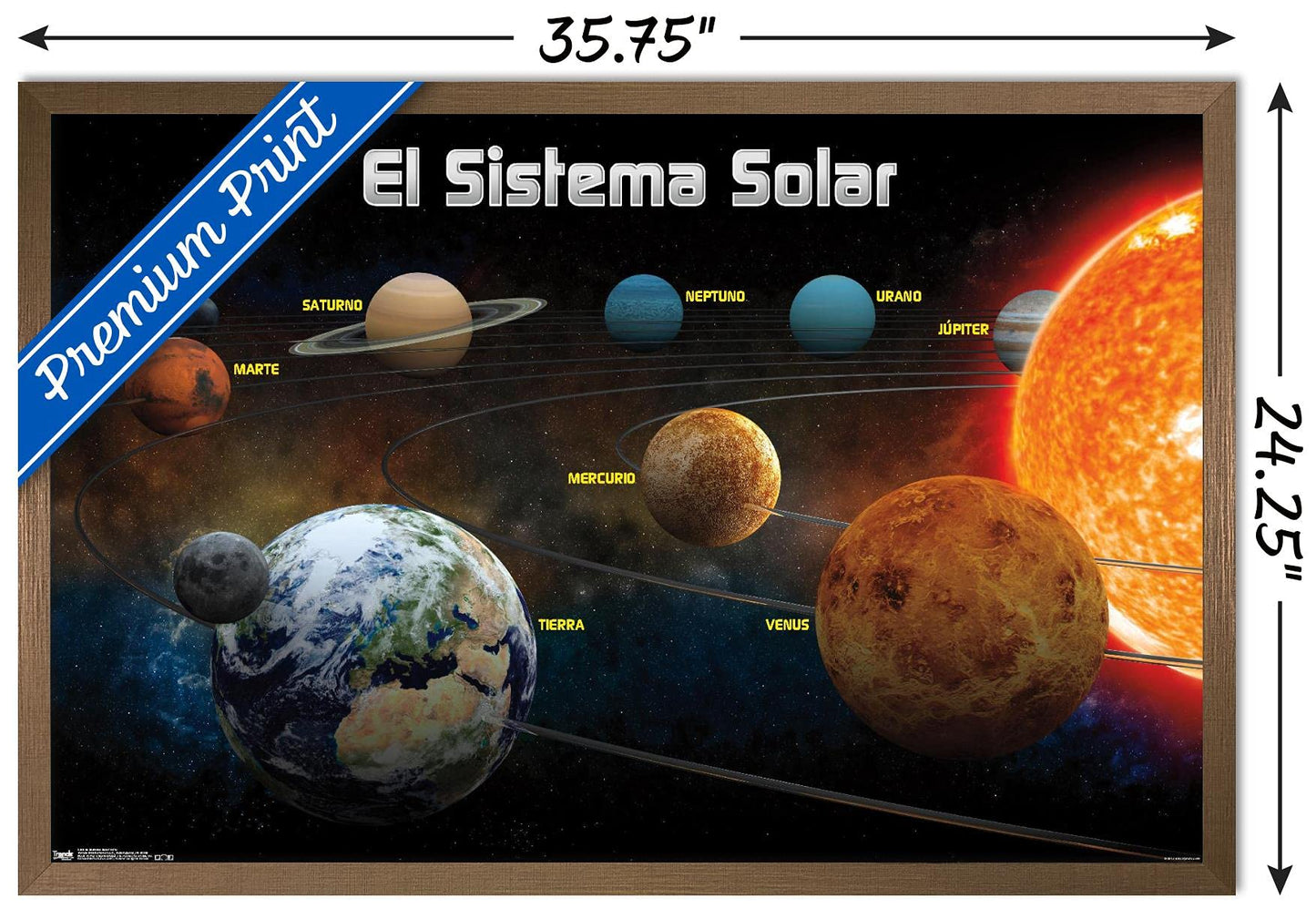 Trends International El Sistema Solar 2013 (Solar System) Wall Poster, 22.375" x 34", Bronze Framed Version