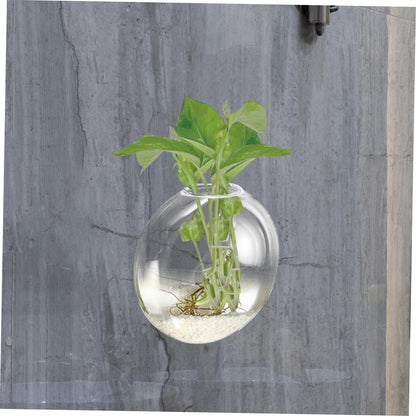 BIUDECO Wall Hanging Glass Terrarium Planter Stylish Hydroponic Flower Vase for Indoor Plants Transparent Design for Home Decor for Succulents and Plant Arrangements