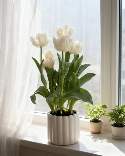 FUYHE Ceramic Plant Pots,6 inch+4.7 Inch Planter Pot with Drainage Holes,Ceramic Planters for Indoor Plants,Modern Flower Pots for Indoor Outdoor Plants House & Office Décor,Cream White