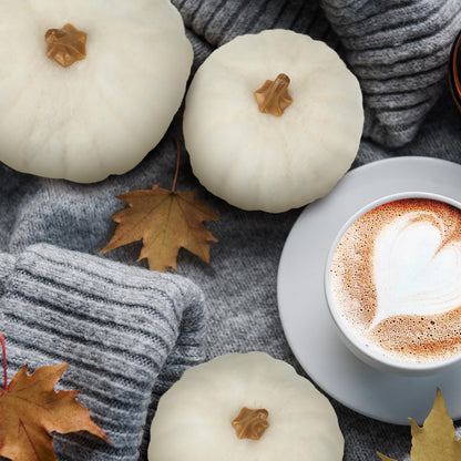 Preboun 4 Pieces Large Wool Fall White Pumpkin Thanksgiving Decor Artificial Fabric Pumpkin Harvest Felt Fake Pumpkins for Decorating for Fall, Thanksgiving, Halloween, Wedding Parties Decoration