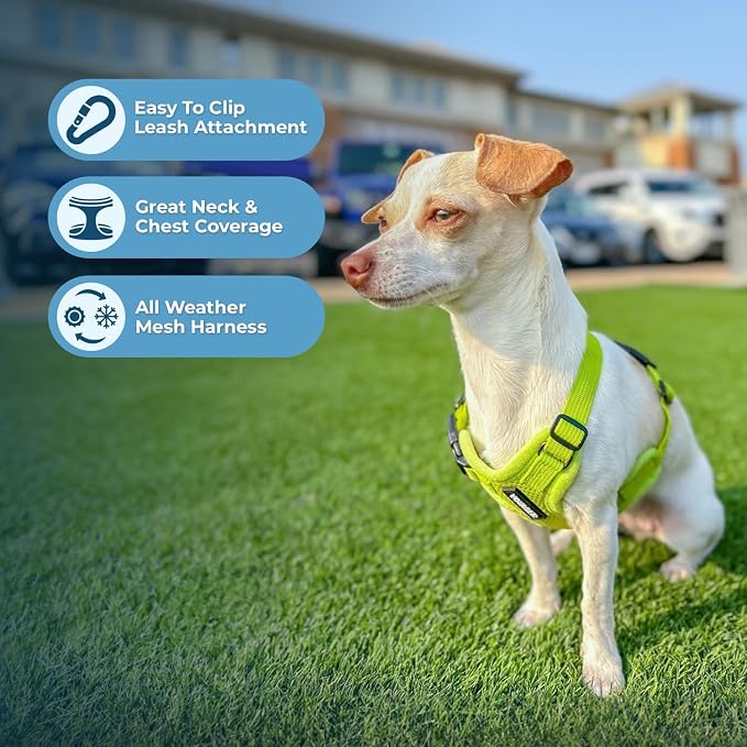 Best Pet Supplies Voyager Step-in Air All Weather Mesh Harness and Reflective Dog 5ft Leash Combo with Neoprene Handle, for Small, Medium and Large Breed Puppies - Lime Green, Large