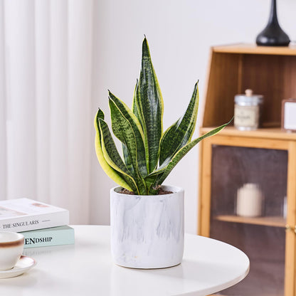 Ekirlin 6 Inch Resin Plant Pot Indoor - Natural Marble Texture Garden Planter with Drainage Hole, Removable Rubber Stopper and Non-Slip Soft Pad, Modern Succulents Containers for Home, Outdoor