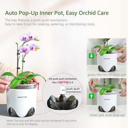 Meshpot 5 inch Orchid Pots with Holes for Repotting with Excellent Airflow, Set of 1, Double Layer Plastic Imitate Ceramic Orchid Planter, Clear Orchid Pot Match Decorative Orchid Container