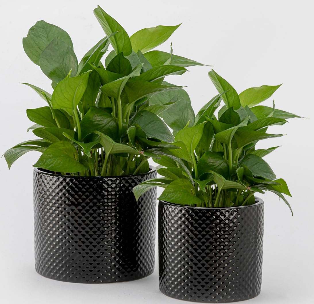 ROMANDECO CRAFT Indoor Plant Pot Flower Holder Ceramic Houseplant Pots inch with Hole 5.9in + 4.7in 2pcs (Not Contain Plant)